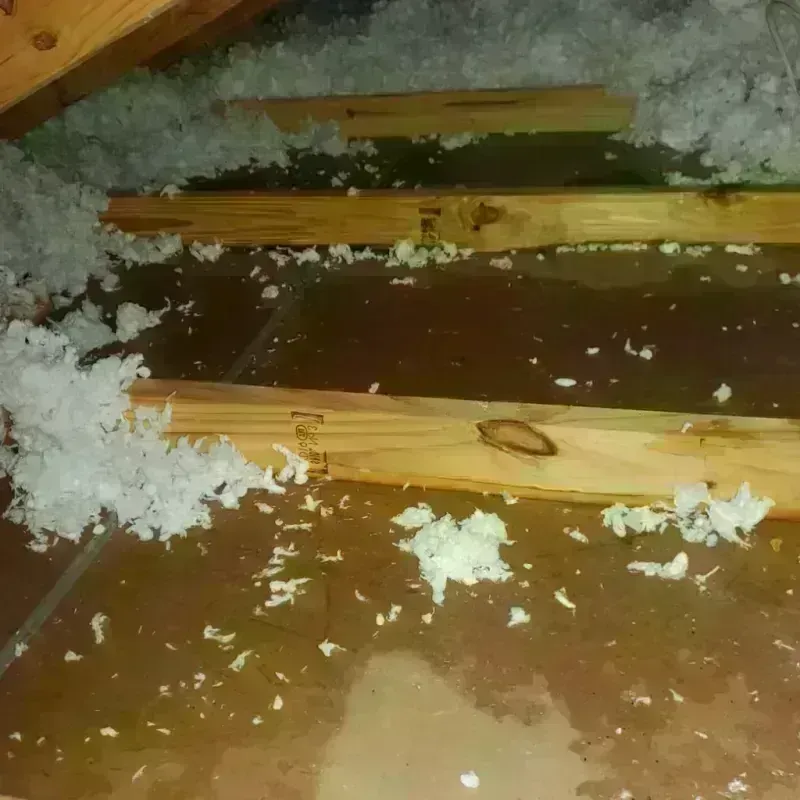 Attic Water Damage in Jasper County, IN